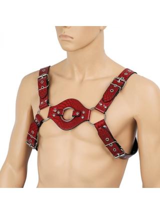 רתמת חזה   HARNESS HARV
