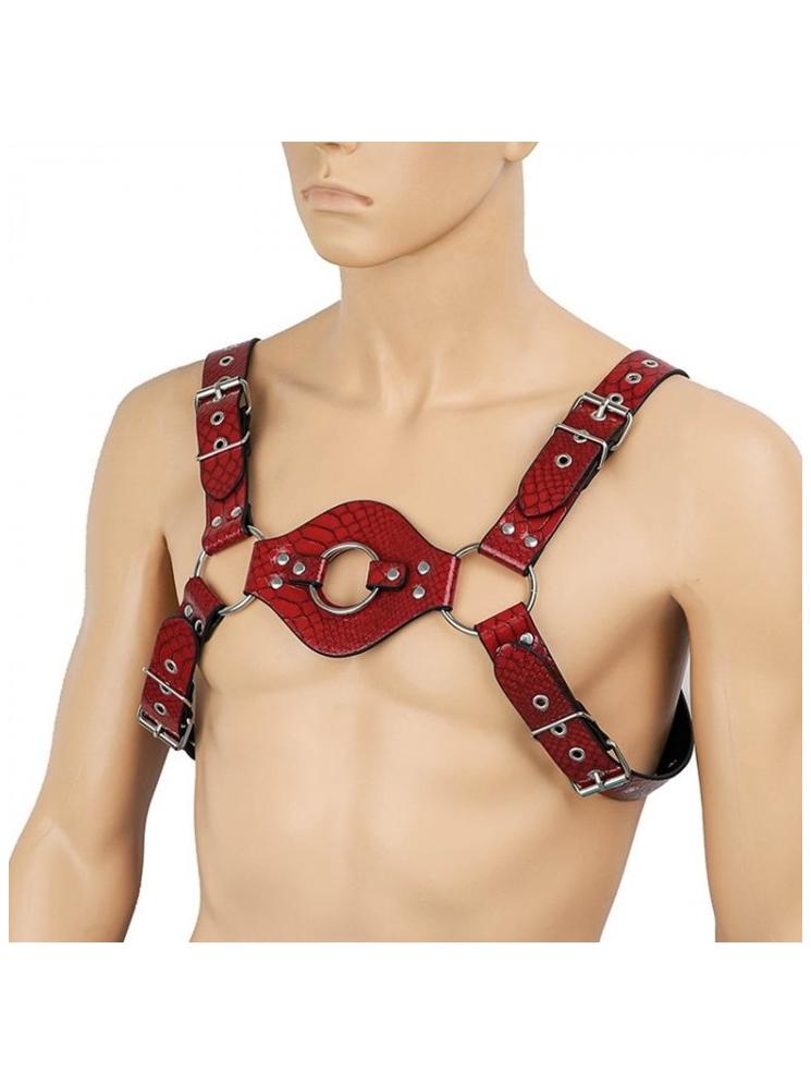 רתמת חזה   HARNESS HARV

